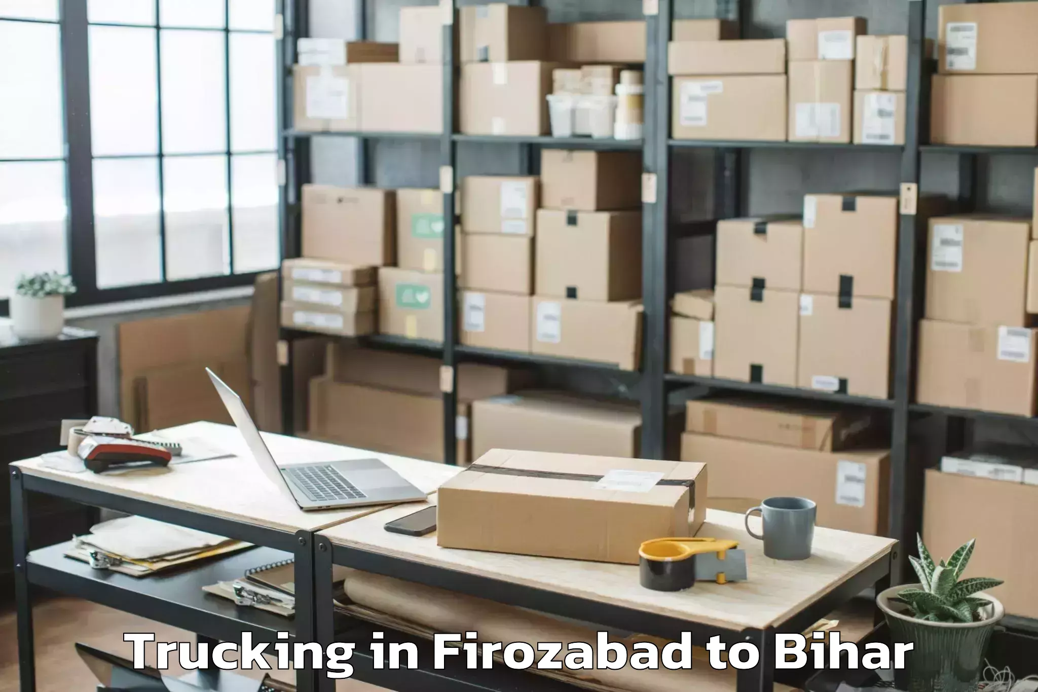 Top Firozabad to Dholi Moroul Trucking Available